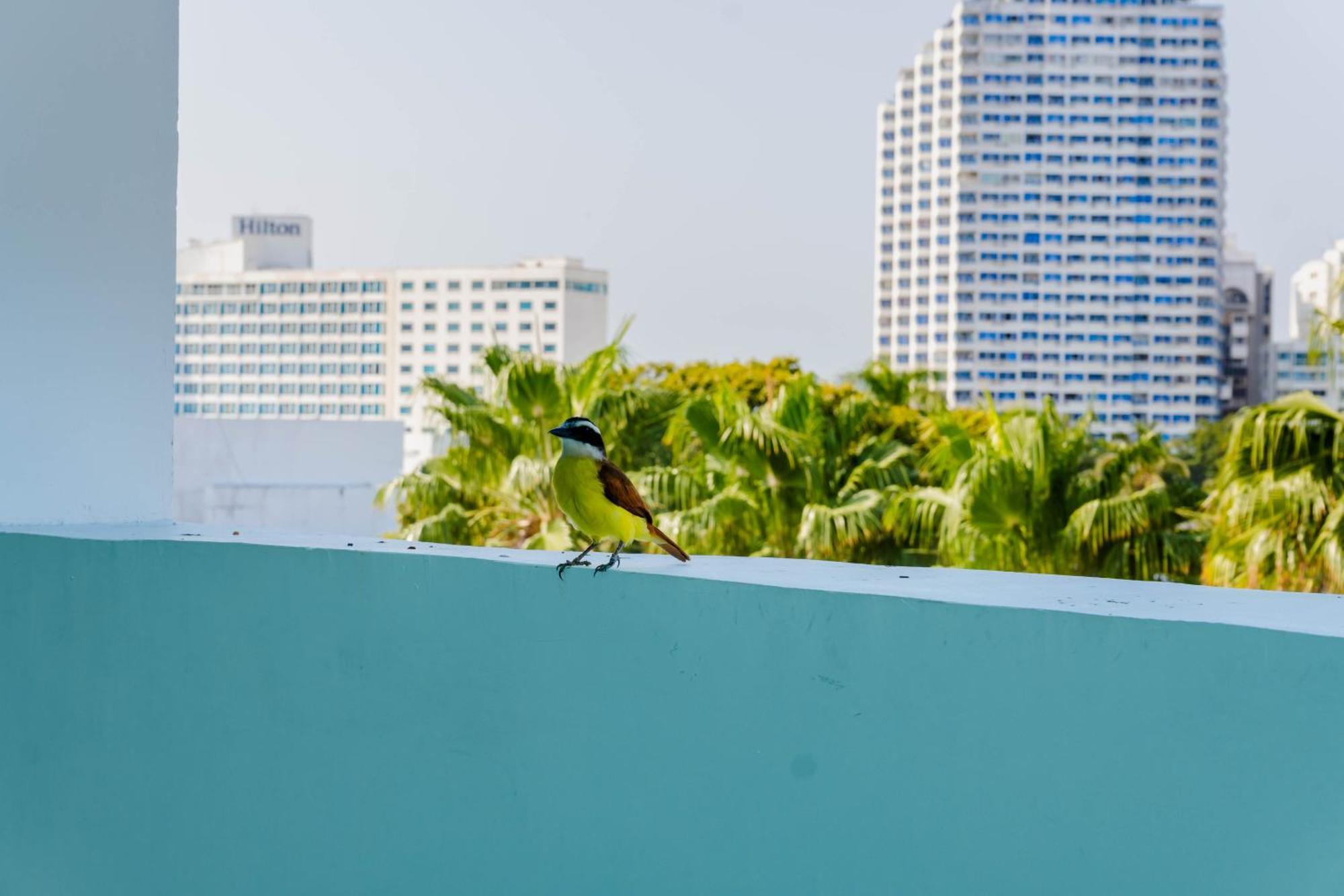 Hotel Coral Reef Cartagena מראה חיצוני תמונה